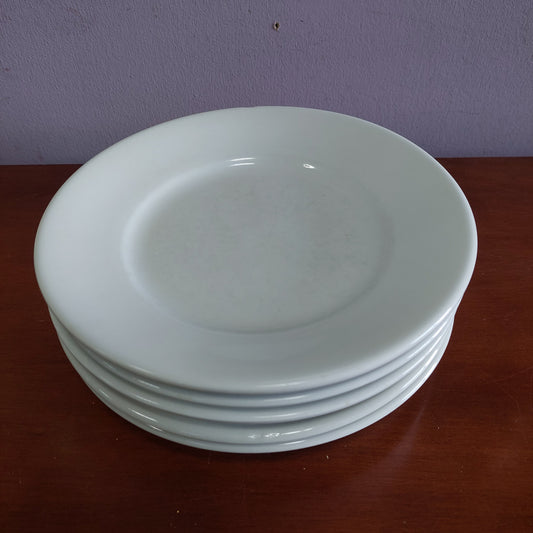 Set/5 Piatti Piani Porcellana Bianca Dura