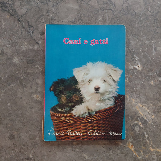 Cani E Gatti (cartonato Vintage)