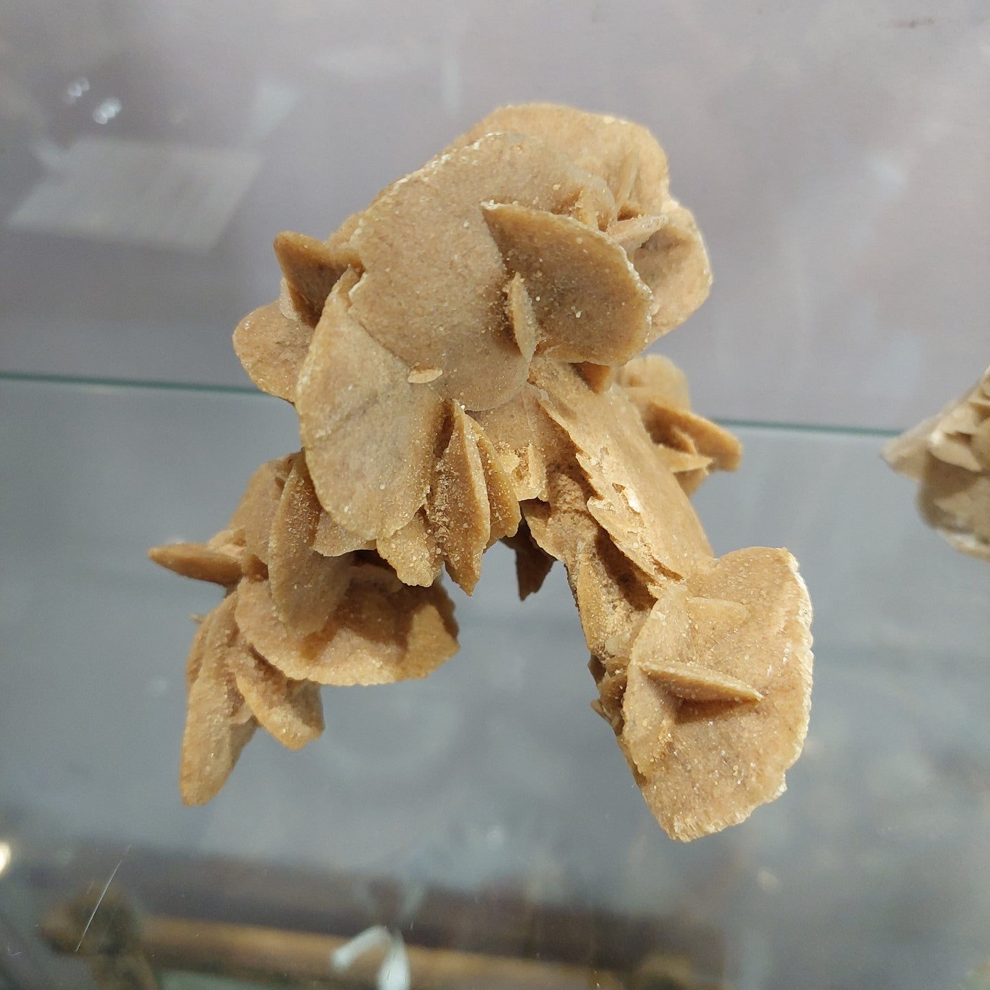 Rosa Del Deserto 310gr