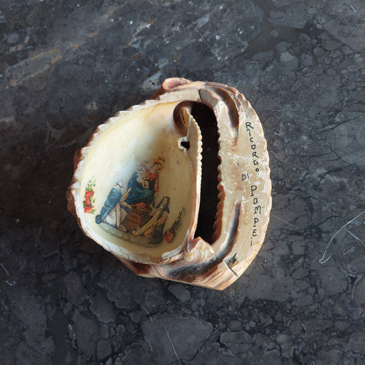Conchiglia Ricordo Di Pompei Primi '900