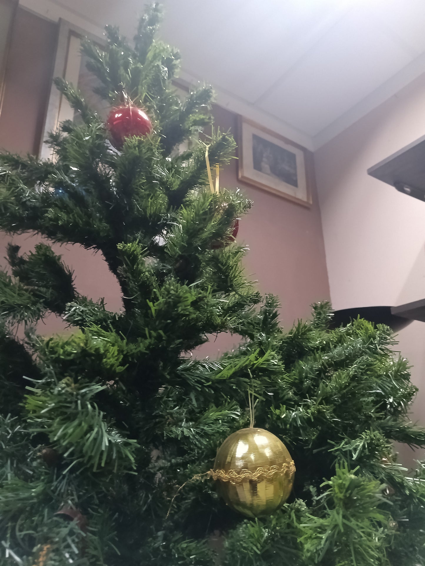 Albero Di Natale Cm270