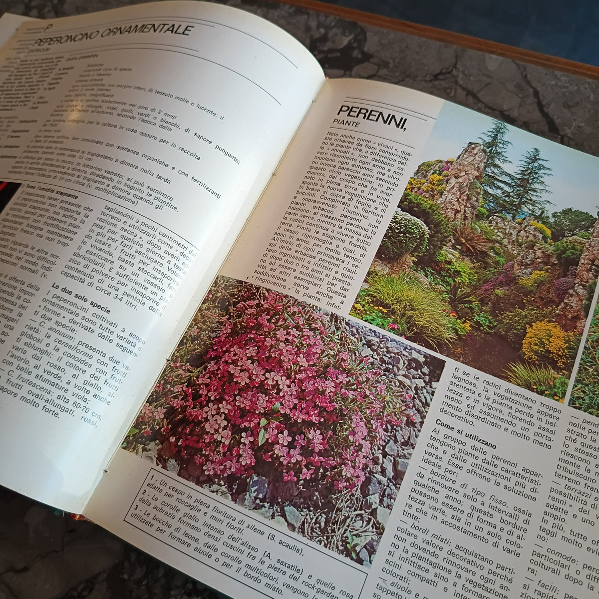 L/fiori In Casa (3 Voll.) Fratelli Fabbri Editori