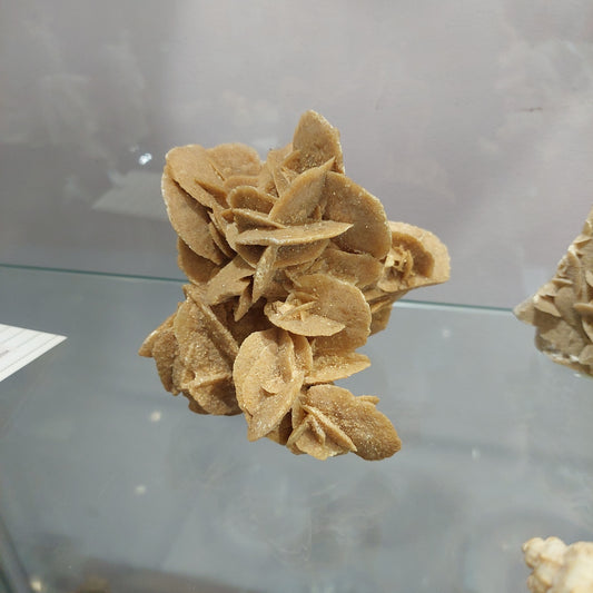 Rosa Del Deserto 310gr