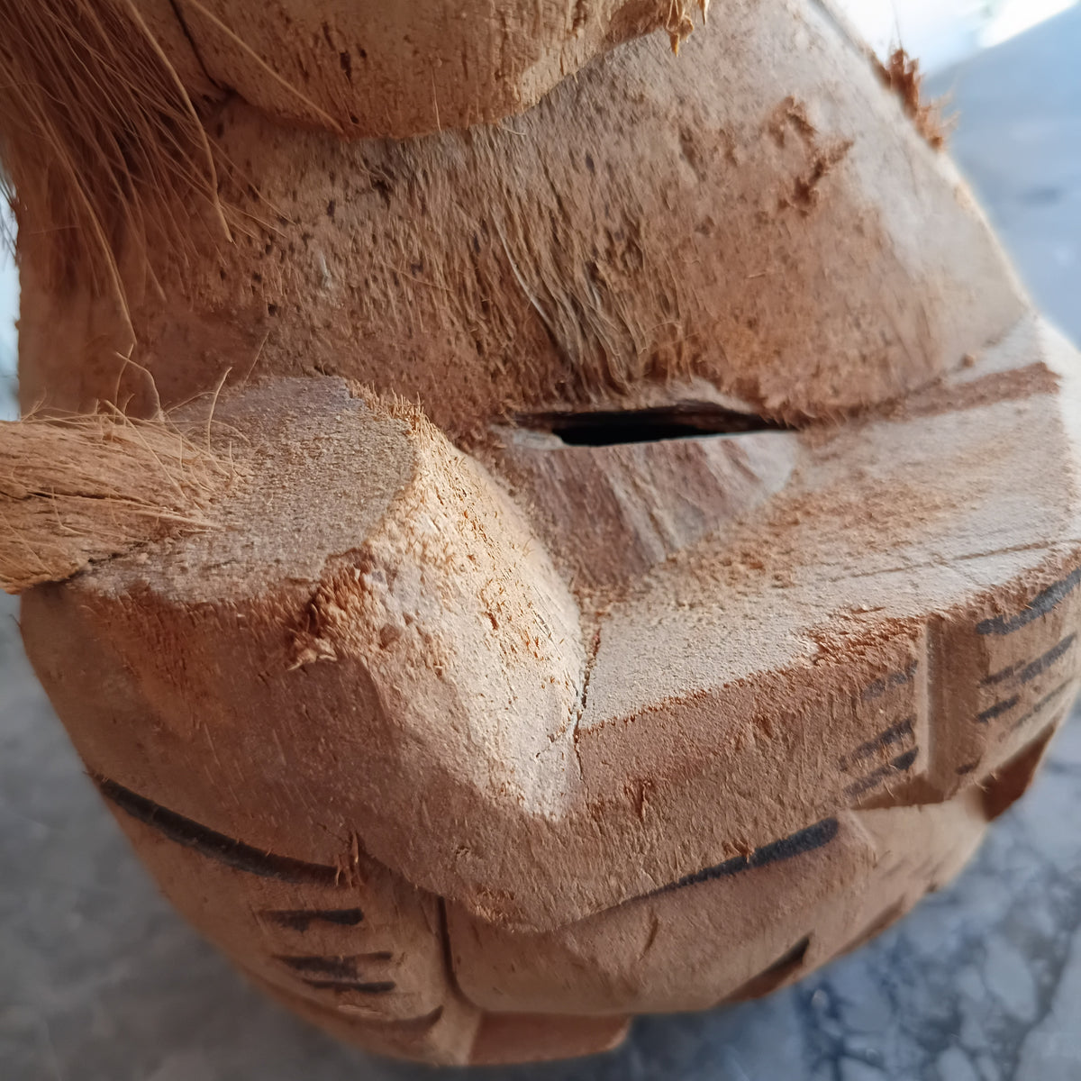 Salvadanaio* Artigianale Scimmia Noce Di Cocco