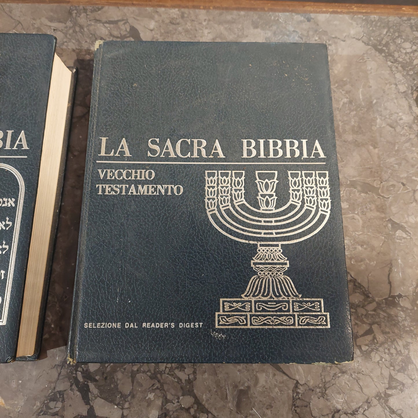 2 Volumi La Sacra Bibbia Vecchio Testamento