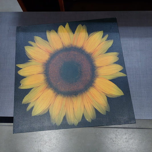 Quadro Stampa Girasole Cm40x40