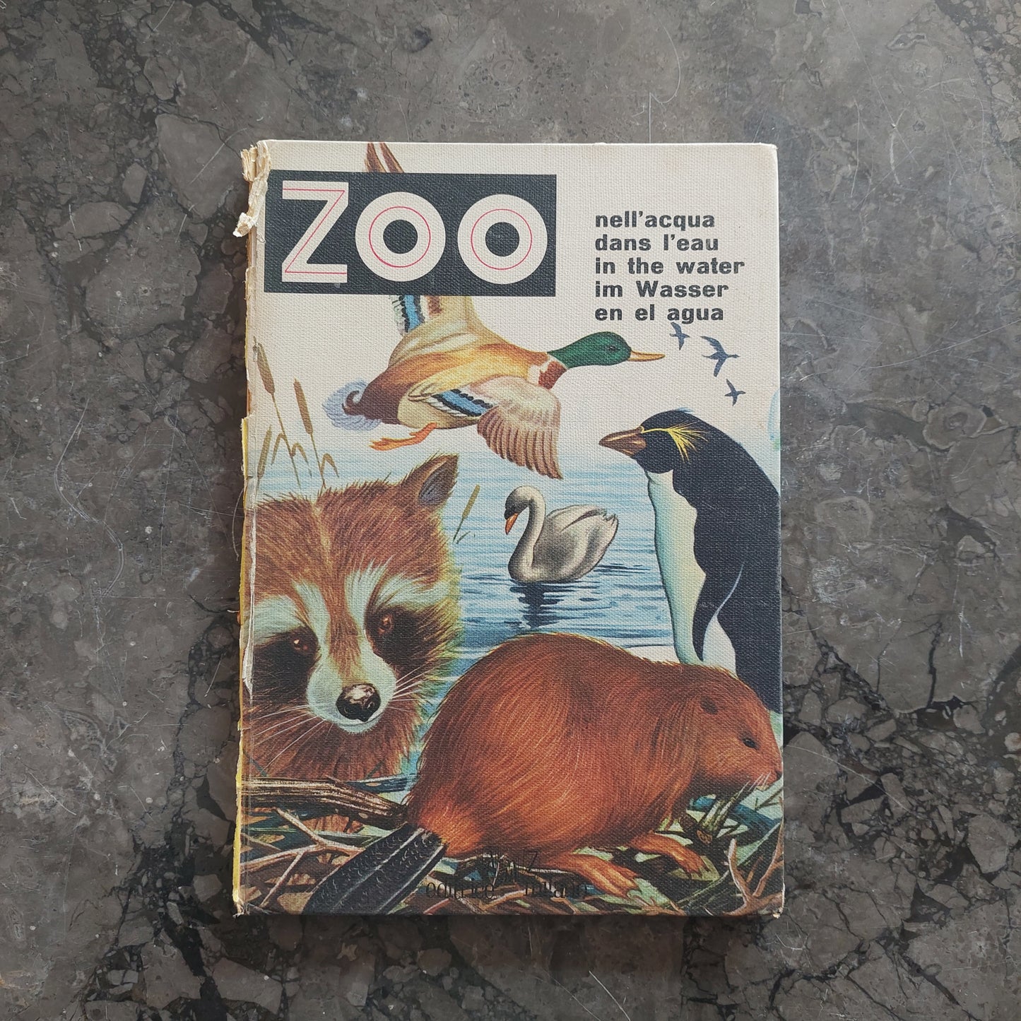 Zoo - Nell'acqua (cartonato Vintage)