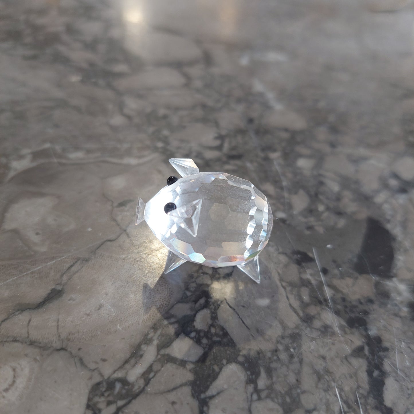 Maialino Swarovski