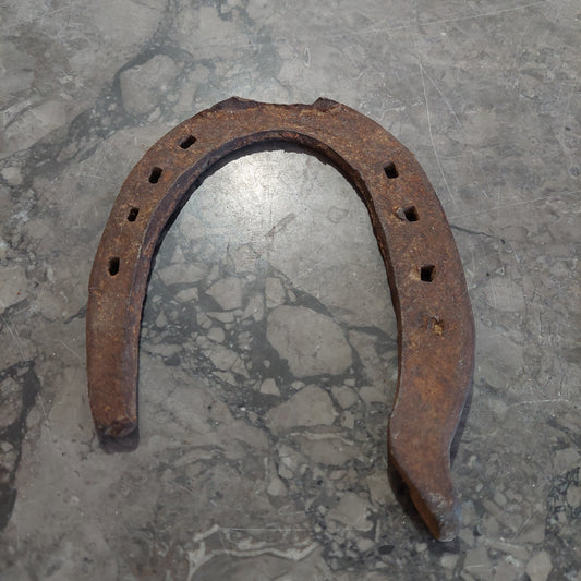 Ferro Di Cavallo Antico Cm13x17