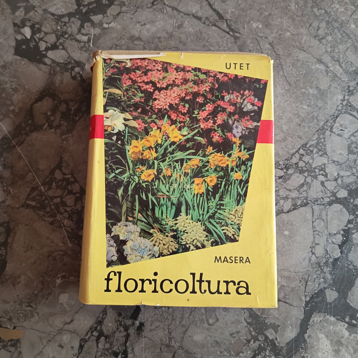 L/floricoltura - Masera