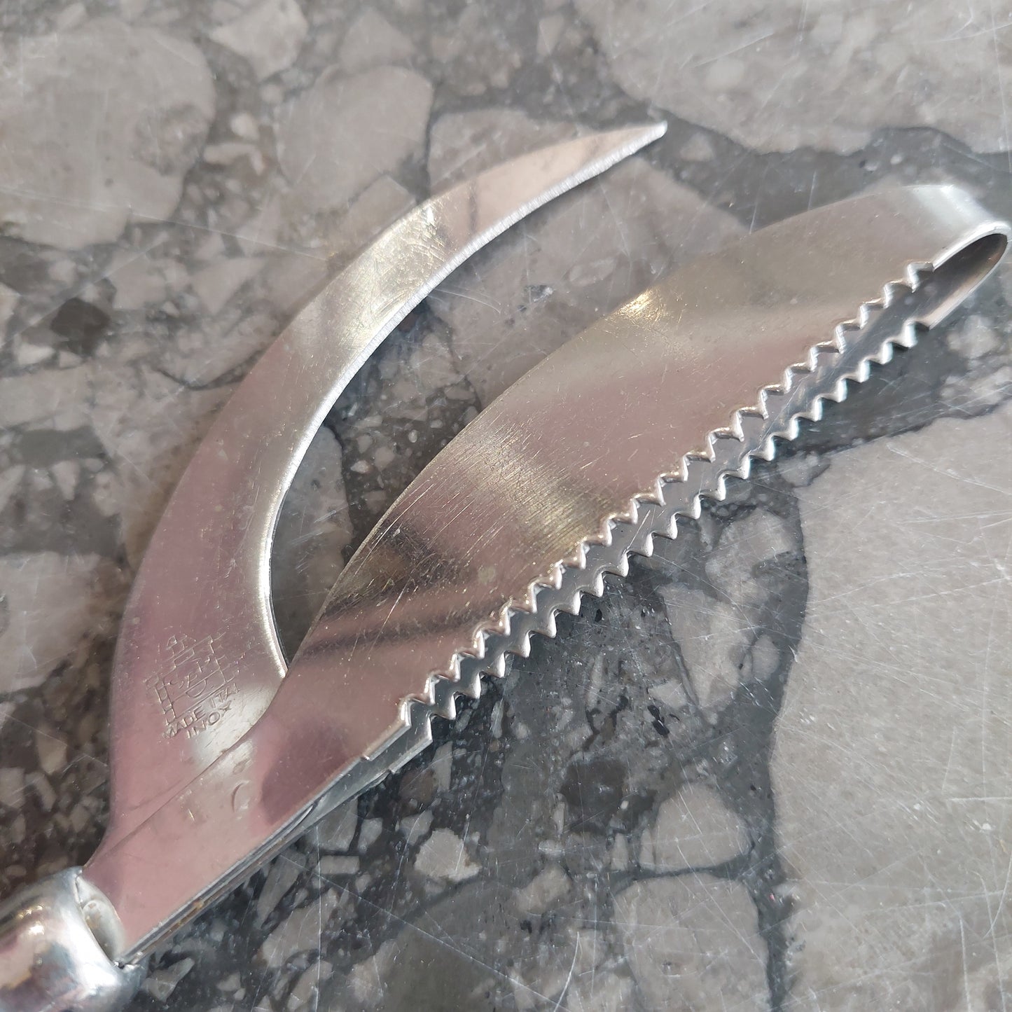 Coltello Vintage Squamapesce Acciaio Inox