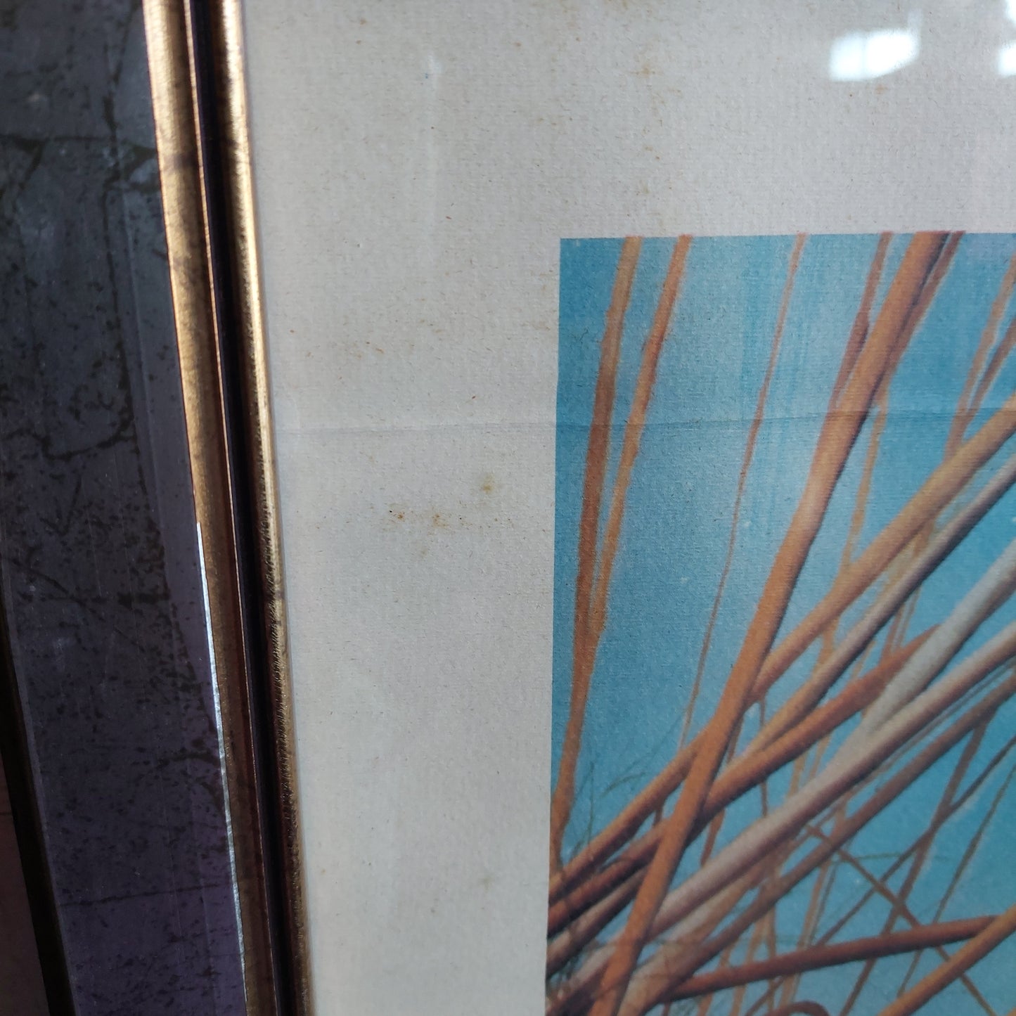 Quadro Serigrafia Canne Di Fiume Firmata A.garufi Cm57,5x77,5