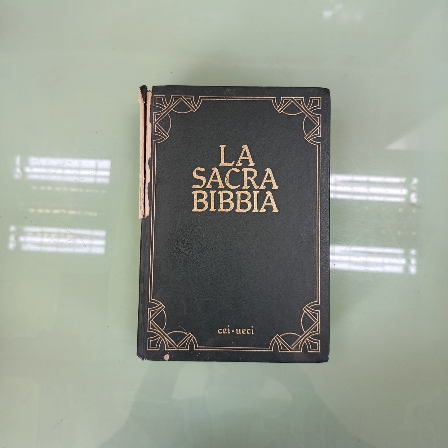 La Sacra Bibbia Cei