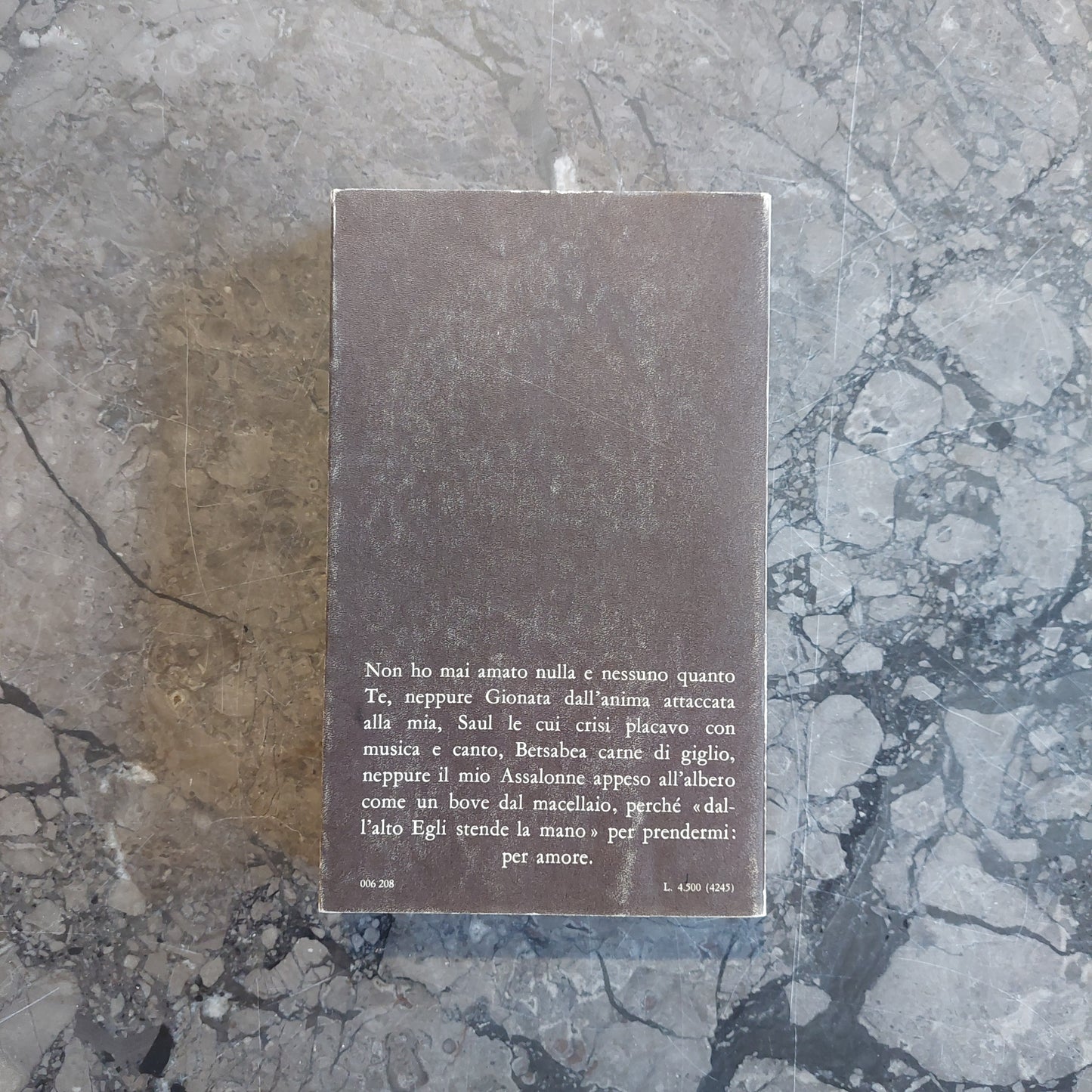 L/davide - C. Coccioli