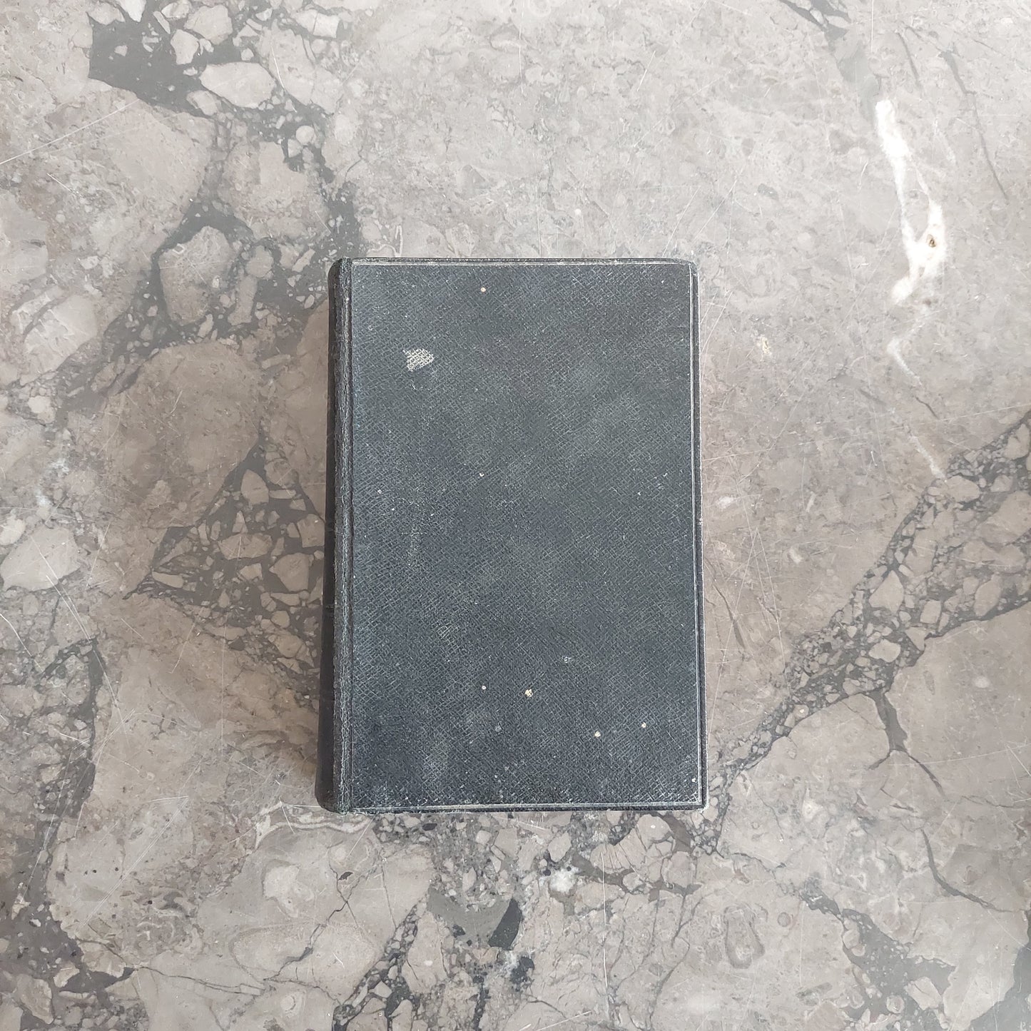 La Sacra Bibbia (trad. Di Giovanni Diodati, Ed. 1925)
