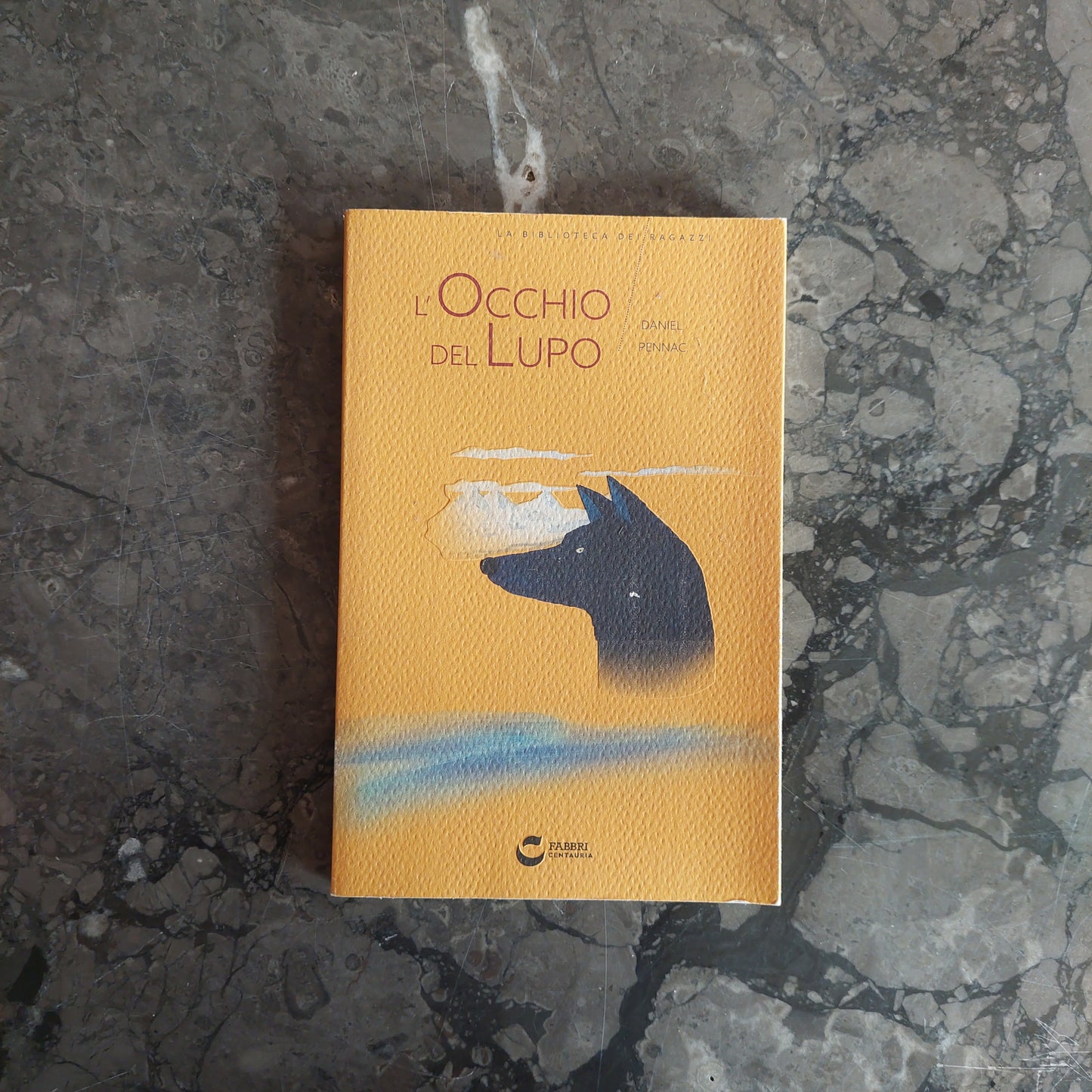 L/l'occhio Del Lupo - D. Pennac