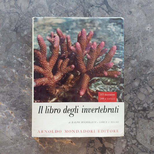 L/il Libro Degli Invertebrati