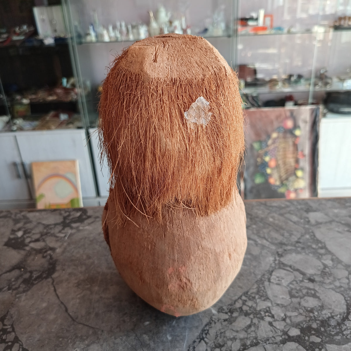 Salvadanaio* Artigianale Scimmia Noce Di Cocco