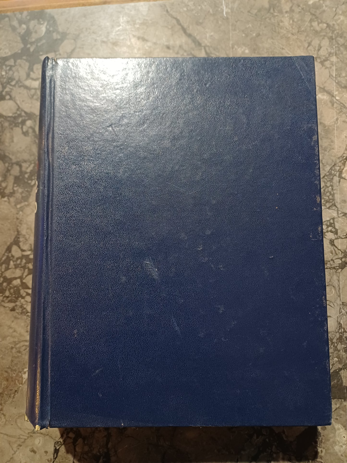 Dizionario Inglese/italiano Borrelli/chinol/frank