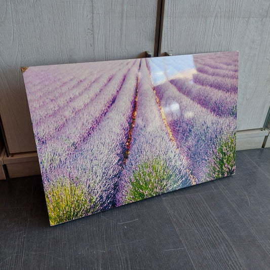 Q/campo Di Lavanda Cm60x40