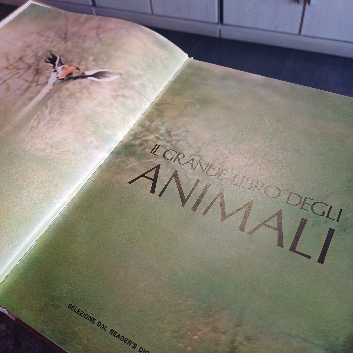 L/il Grande Libro Degli Animali