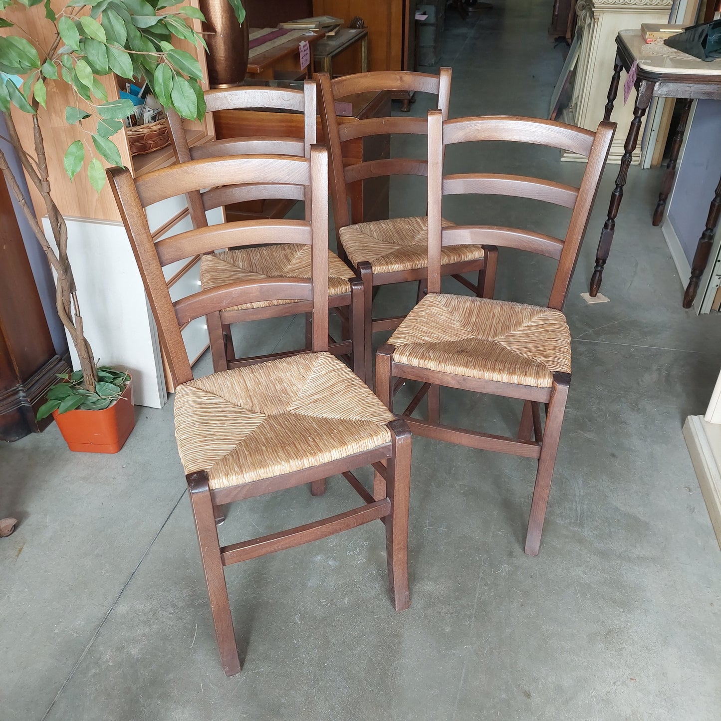 Set/4 Sedie Noce Seduta Paglia