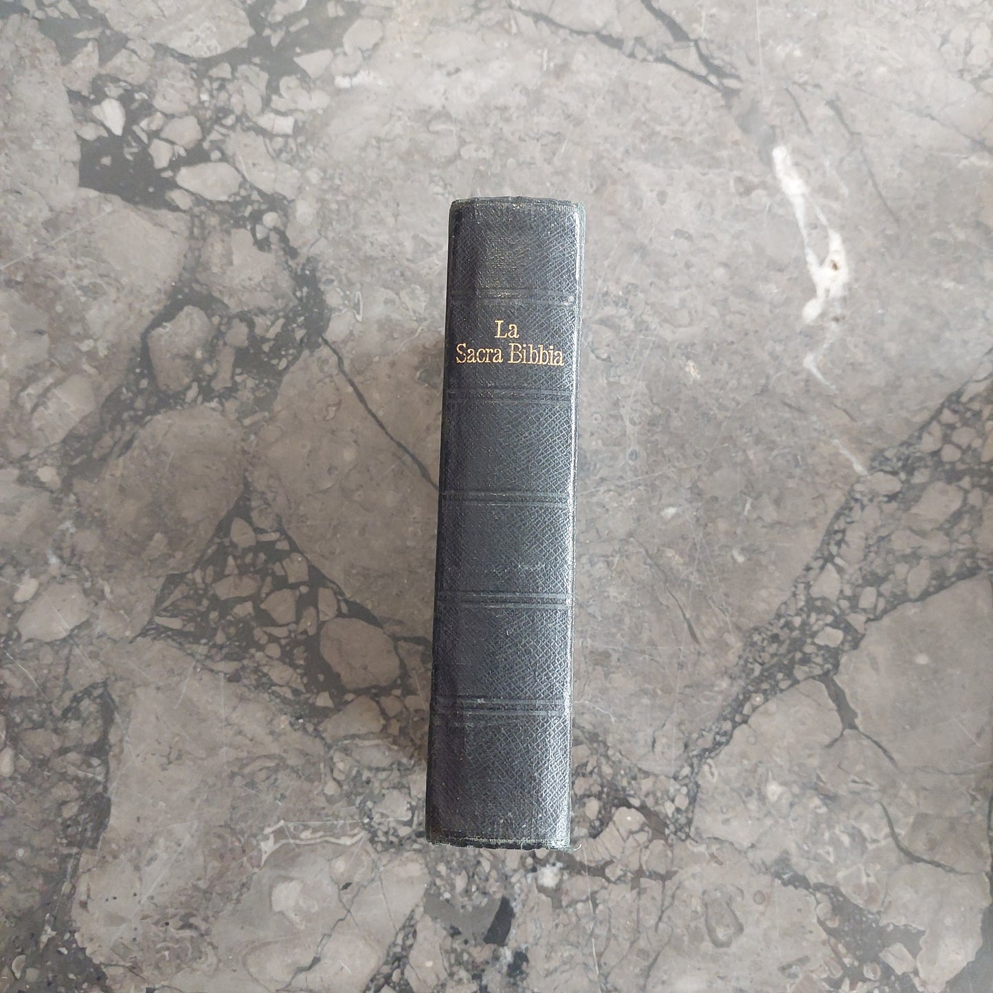 La Sacra Bibbia (trad. Di Giovanni Diodati, Ed. 1925)