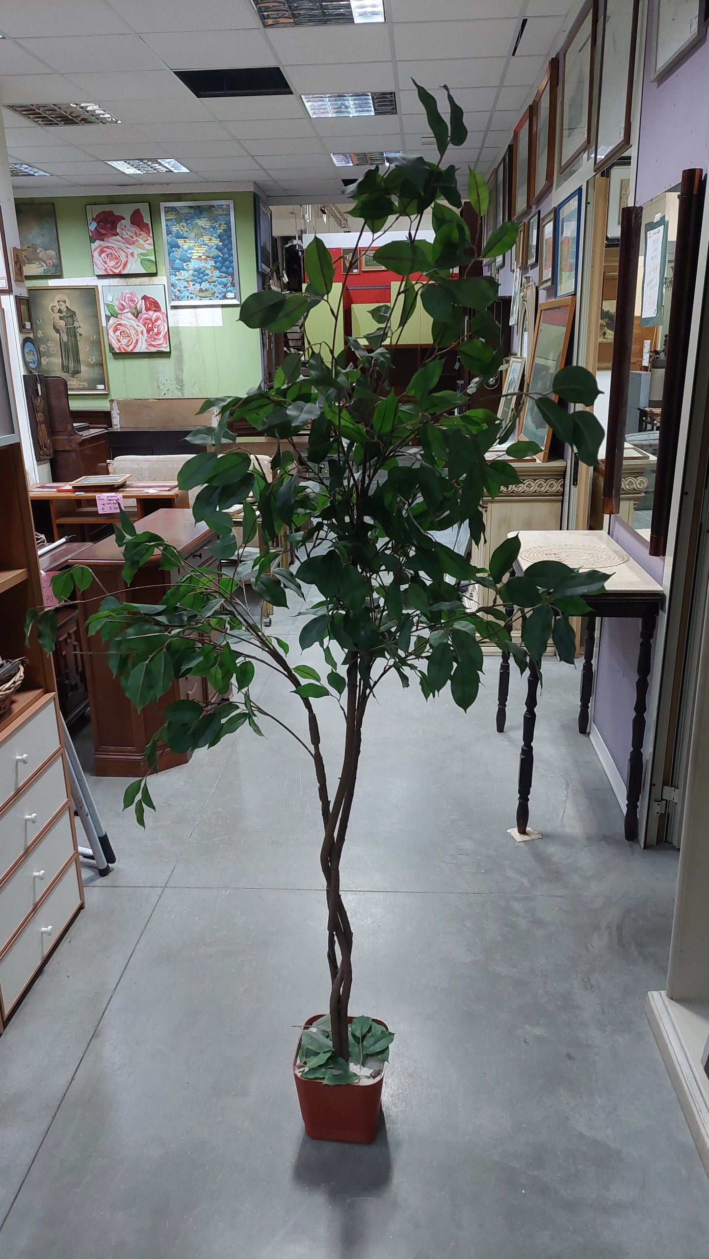 Pianta Finta Ficus Benjamin Cm170h