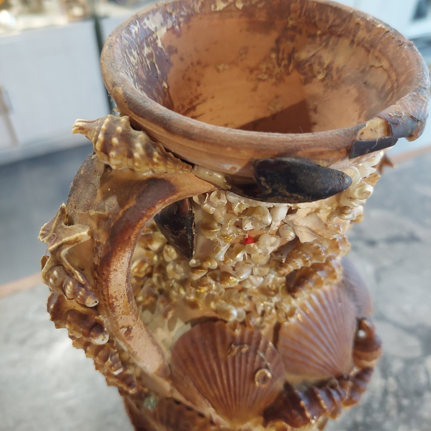 Vaso * Anfora Terracotta Con Conchiglie Souvenir Taormina