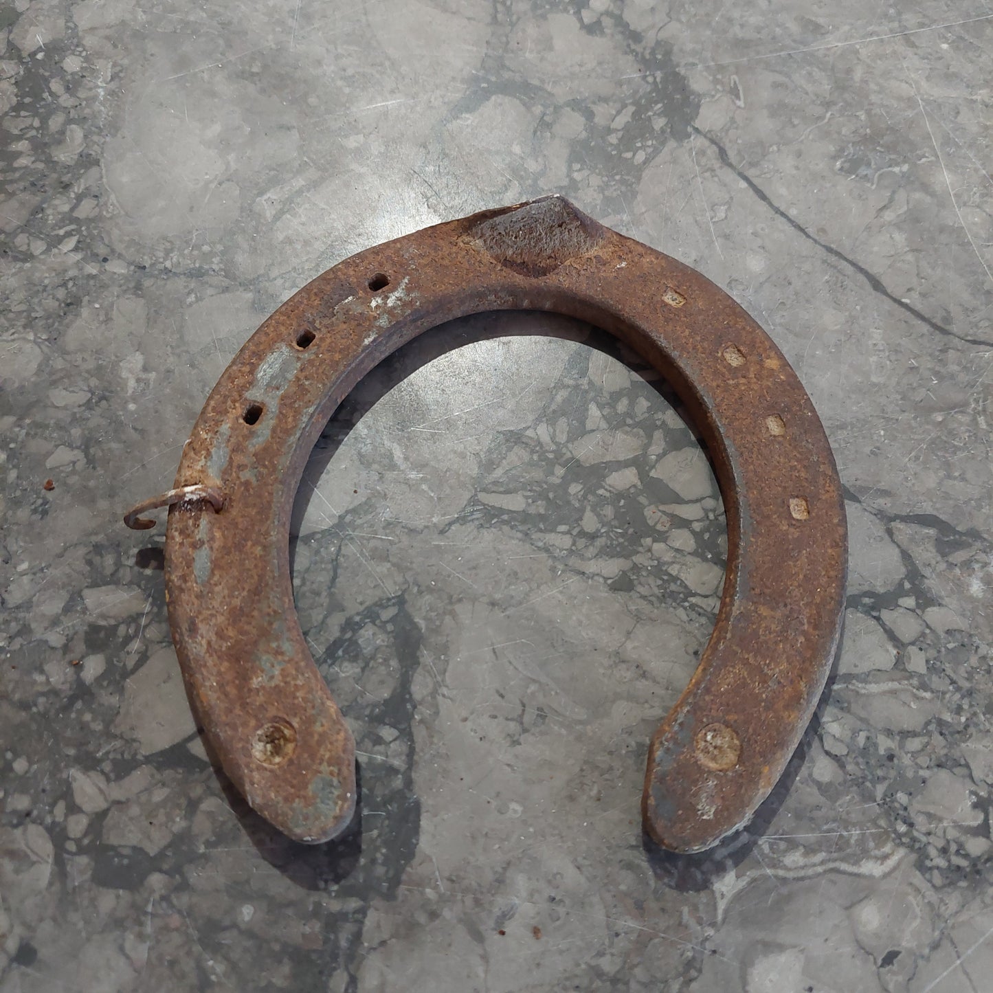 Ferro Di Cavallo Antico Cm14x14