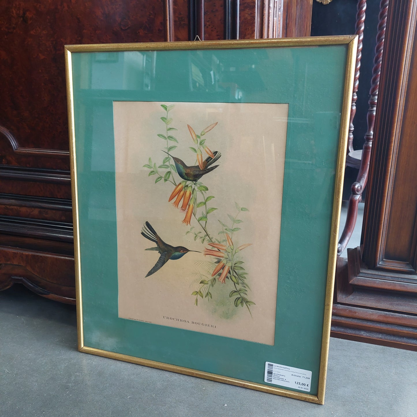 Q/litografia Uccelli Hullmandel & Walton Cm44,5x54,5
