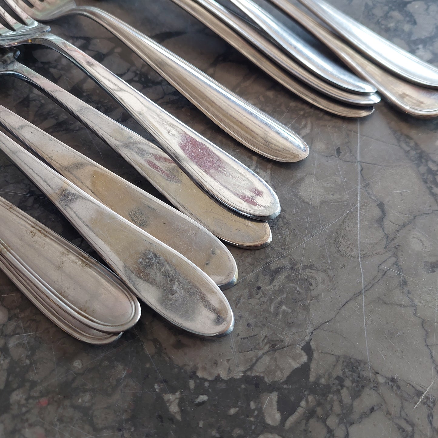 Set/12 Forchette Assortite Rebbi Lunghi