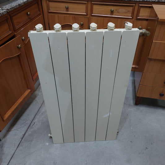 Termosifone 6 Elementi Cm53x90h