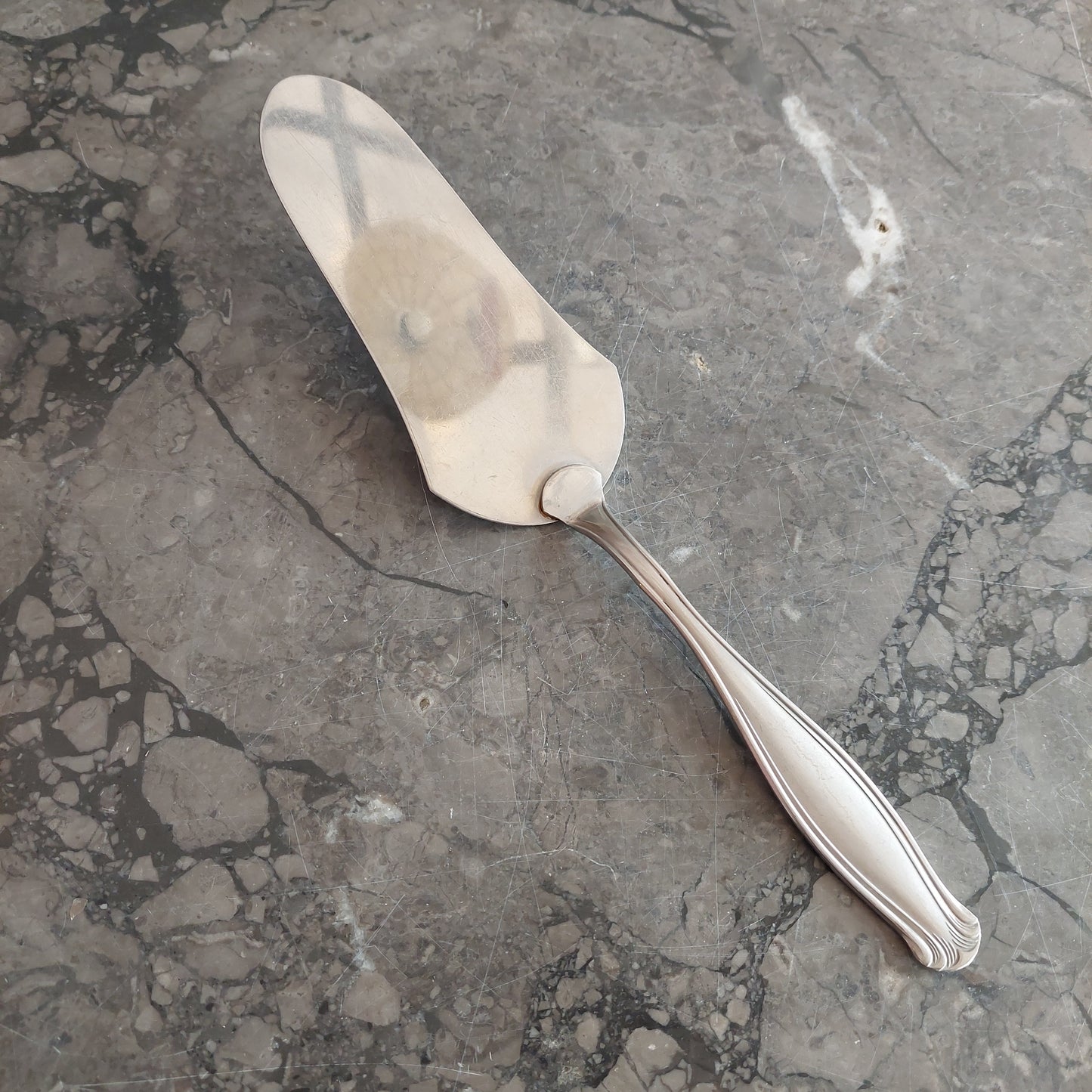 Paletta Per Torta Acciaio Inox