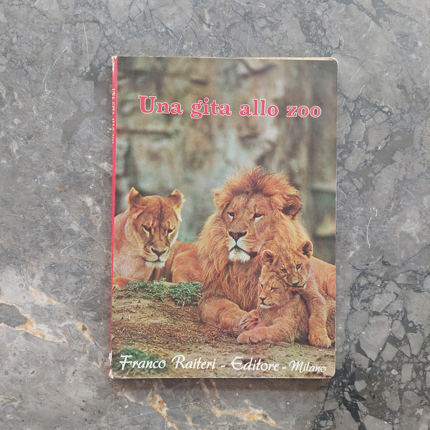 Una Gita Allo Zoo (cartonato Vintage)