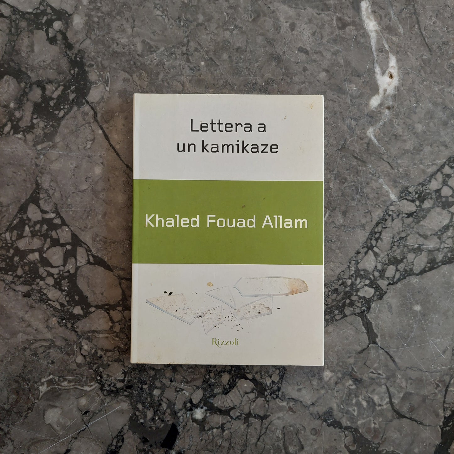 L/lettera A Un Kamikaze - Khaled Fouad Allam