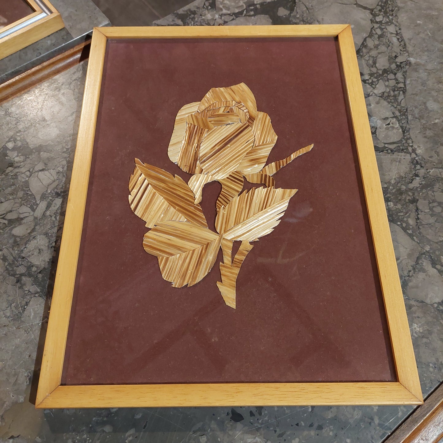 Quadro Fiore Paglia Primi 900 Cm27x37