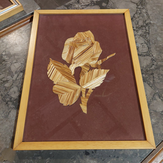 Quadro Fiore Paglia Primi 900 Cm27x37