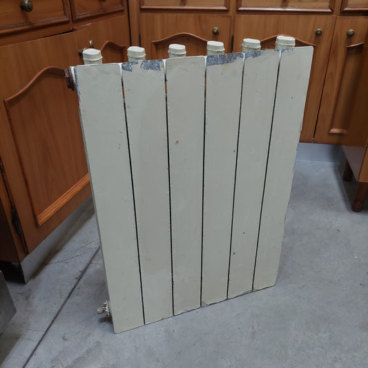 Termosifone 6 Elementi Cm53x70h