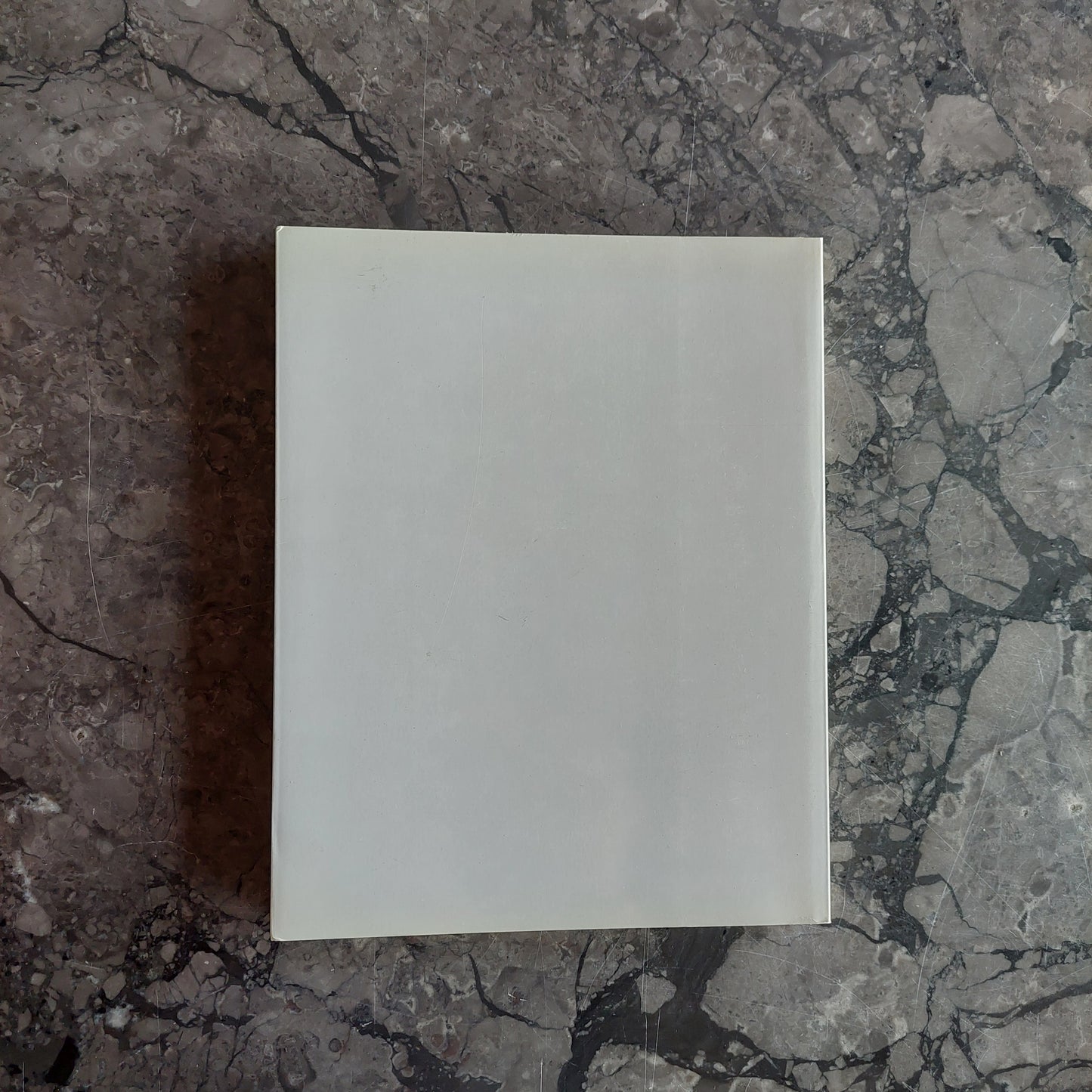 L/pittura E Pittura, Catalogo Della Mostra (a Cura Di  L. Barbera)