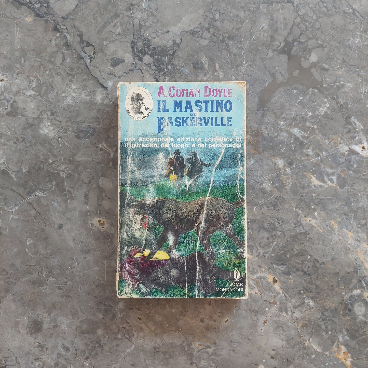 L/il Mastino Dei Baskerville - A. C. Doyle