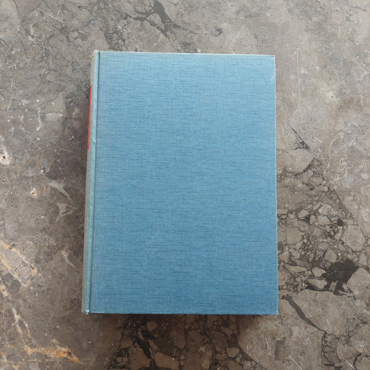 I Fratelli Karamazov - F. Dostoevskij