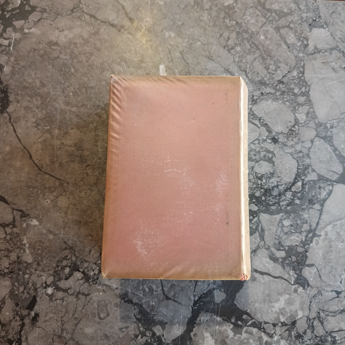 L/il Nuovissimo Melzi Dizionario Completo