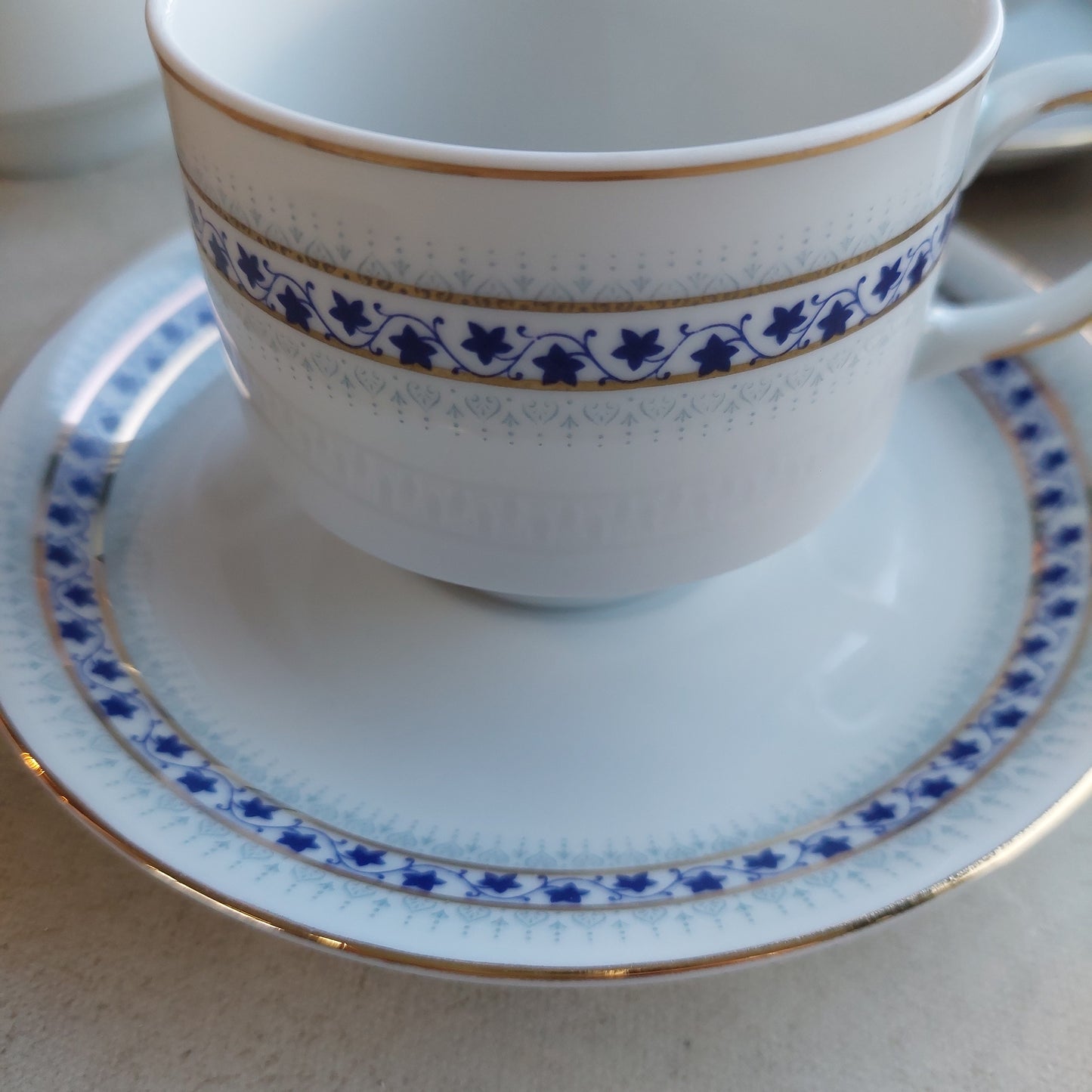 Servizio The Porcellana Bavaria 12 + 3 Pz