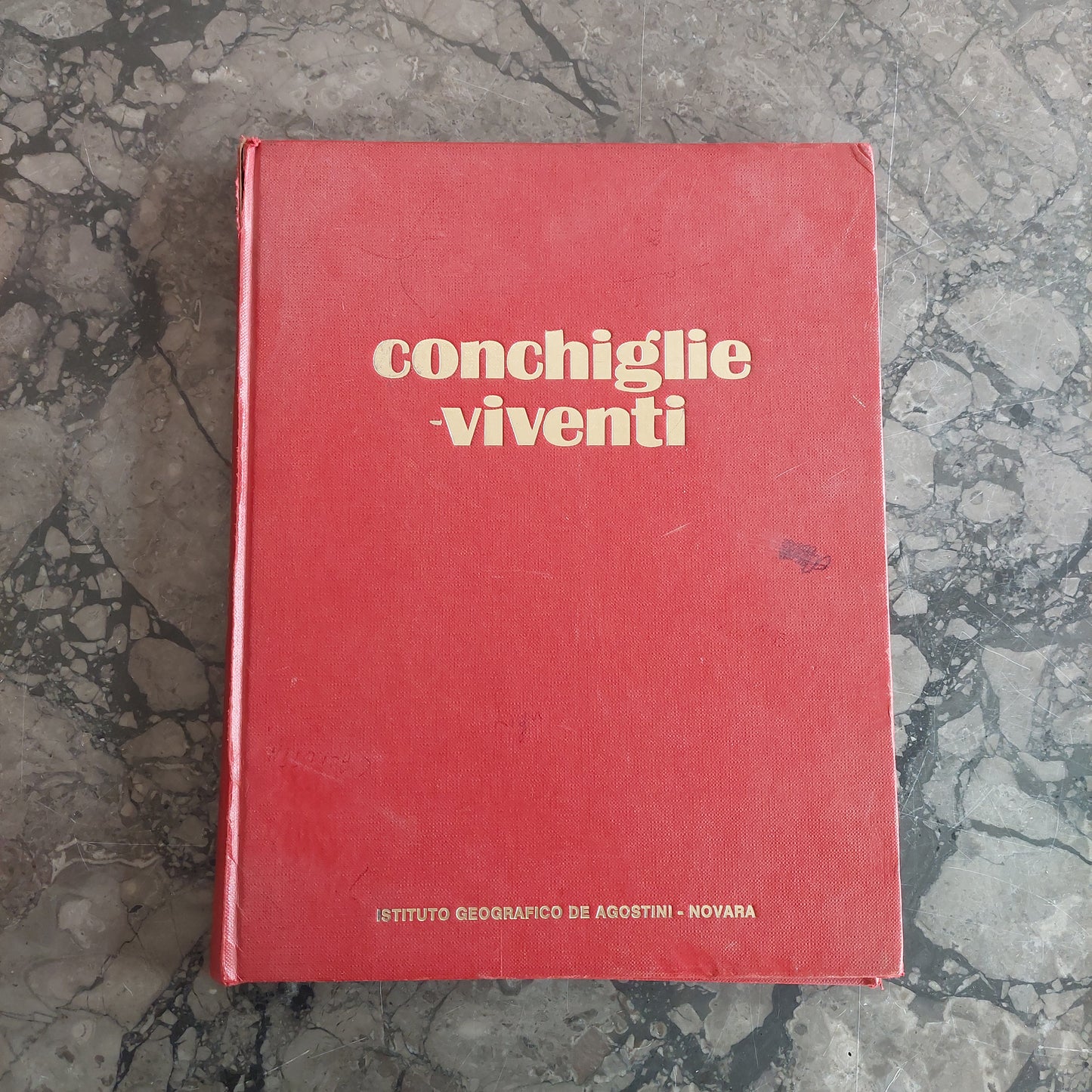 L/conchiglie Viventi