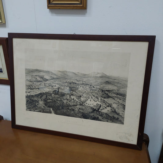 Q/stampa Antica Perouse Cm59x44